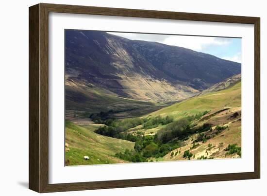 Glen Roy, Highland, Scotland-Peter Thompson-Framed Photographic Print