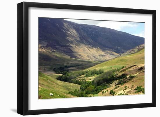 Glen Roy, Highland, Scotland-Peter Thompson-Framed Photographic Print