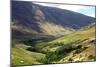 Glen Roy, Highland, Scotland-Peter Thompson-Mounted Photographic Print