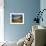 Glen Shee, Tayside, Scotland, UK, Europe-John Miller-Framed Photographic Print displayed on a wall