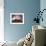 Glencoe Cottage-Doug Chinnery-Framed Photographic Print displayed on a wall