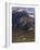 Glencoe, Highland Region, Scotland, UK, Europe-Charles Bowman-Framed Photographic Print