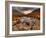 Glencoe, Highlands, Scotland, Uk-David Wogan-Framed Photographic Print