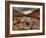 Glencoe, Highlands, Scotland, Uk-David Wogan-Framed Photographic Print