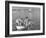 Glendale Students Boating at the Beach-Peter Stackpole-Framed Photographic Print