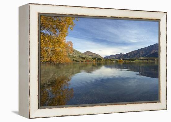 Glendhu Bay, Lake Wanaka, Otago, South Island, New Zealand-David Wall-Framed Premier Image Canvas