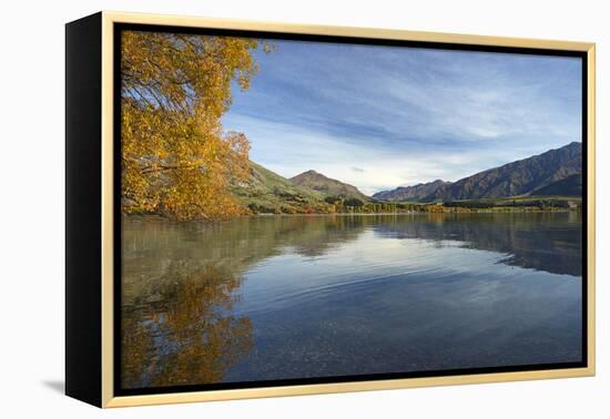 Glendhu Bay, Lake Wanaka, Otago, South Island, New Zealand-David Wall-Framed Premier Image Canvas