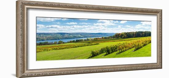 Glenora Vineyard, Seneca Lake, Finger Lakes, New York State, Usa-null-Framed Photographic Print