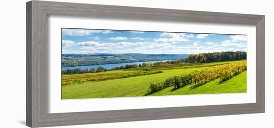 Glenora Vineyard, Seneca Lake, Finger Lakes, New York State, Usa-null-Framed Photographic Print