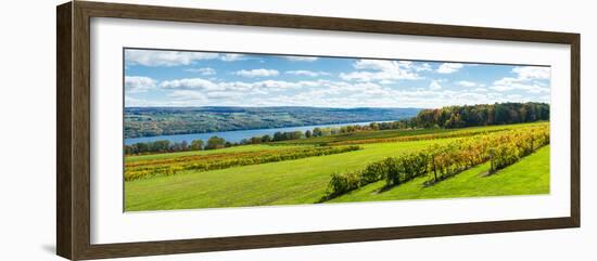 Glenora Vineyard, Seneca Lake, Finger Lakes, New York State, Usa-null-Framed Photographic Print