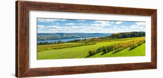 Glenora Vineyard, Seneca Lake, Finger Lakes, New York State, Usa-null-Framed Photographic Print