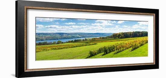 Glenora Vineyard, Seneca Lake, Finger Lakes, New York State, Usa-null-Framed Photographic Print