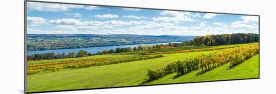 Glenora Vineyard, Seneca Lake, Finger Lakes, New York State, Usa-null-Mounted Photographic Print