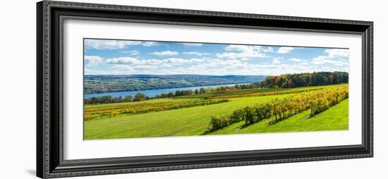 Glenora Vineyard, Seneca Lake, Finger Lakes, New York State, Usa-null-Framed Photographic Print