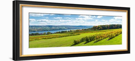 Glenora Vineyard, Seneca Lake, Finger Lakes, New York State, Usa-null-Framed Photographic Print