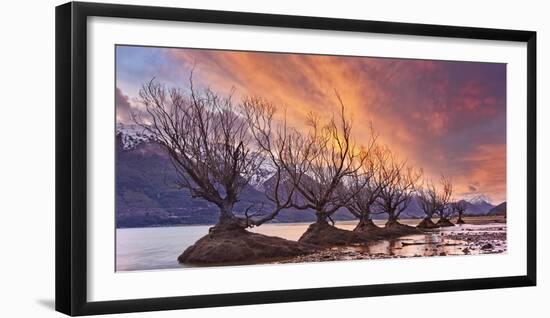 Glenorchy on Fire-Yan Zhang-Framed Photographic Print