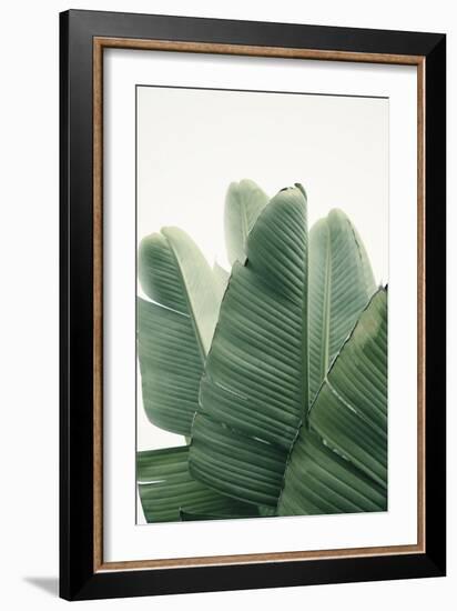 Glenvar Heights-Irene Suchocki-Framed Giclee Print