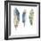 Glide-Sandra Jacobs-Framed Giclee Print