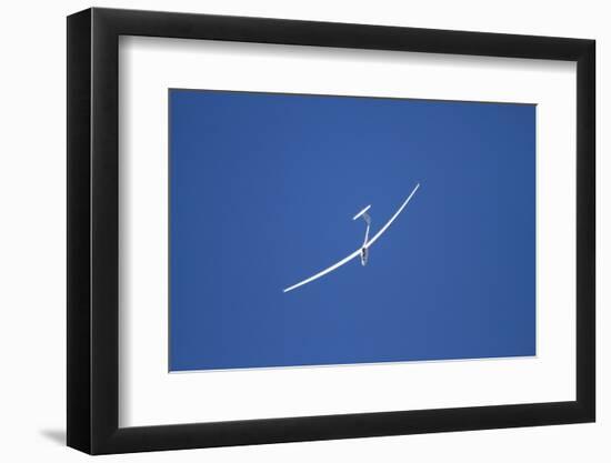 Glider, Warbirds over Wanaka, Wanaka, War Plane, Otago, South Island, New Zealand-David Wall-Framed Photographic Print