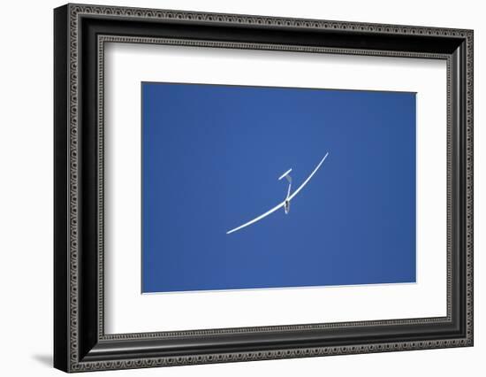 Glider, Warbirds over Wanaka, Wanaka, War Plane, Otago, South Island, New Zealand-David Wall-Framed Photographic Print