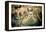 Gliding over Seville VII-Felipe Rodriguez-Framed Premier Image Canvas