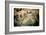 Gliding over Seville VII-Felipe Rodriguez-Framed Photographic Print