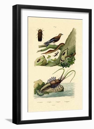 Glimworm, 1833-39-null-Framed Giclee Print