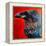 Glistening Raven-Melissa Symons-Framed Stretched Canvas