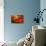 Gloanec Festival-Paul Gauguin-Giclee Print displayed on a wall