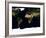 Global Image of the World-Stocktrek Images-Framed Photographic Print