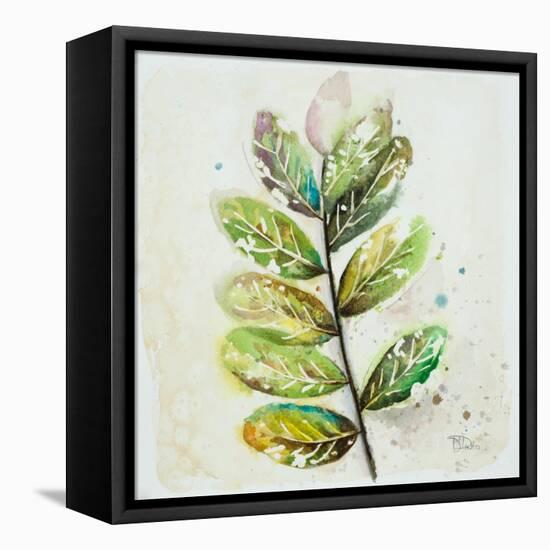 Global Leaves III-Patricia Pinto-Framed Stretched Canvas