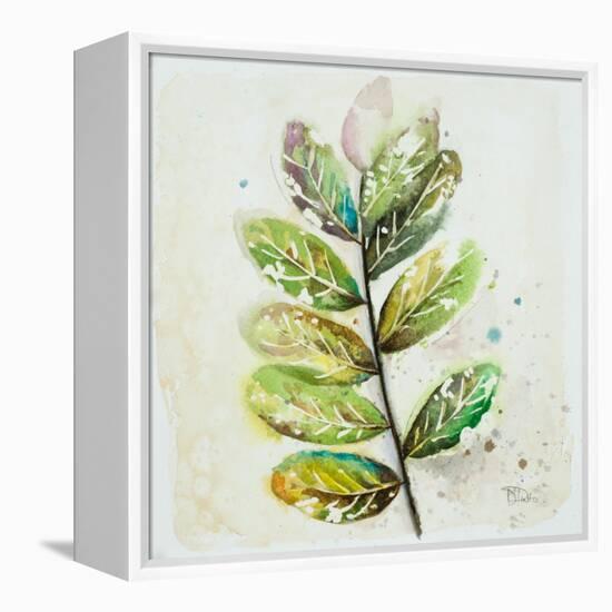 Global Leaves III-Patricia Pinto-Framed Stretched Canvas