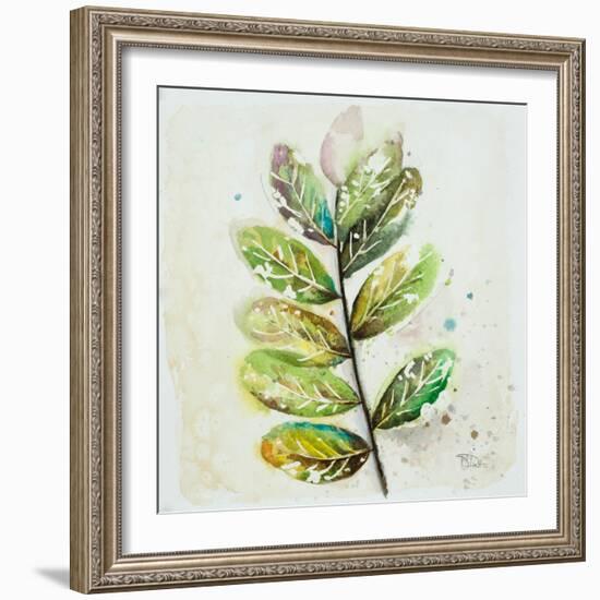 Global Leaves III-Patricia Pinto-Framed Art Print