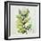 Global Leaves III-Patricia Pinto-Framed Art Print