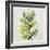 Global Leaves III-Patricia Pinto-Framed Art Print