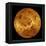 Global View of the Surface of Venus-Stocktrek Images-Framed Premier Image Canvas