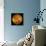 Global View of the Surface of Venus-Stocktrek Images-Framed Premier Image Canvas displayed on a wall