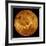 Global View of the Surface of Venus-Stocktrek Images-Framed Photographic Print