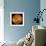 Global View of the Surface of Venus-Stocktrek Images-Framed Photographic Print displayed on a wall