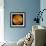 Global View of the Surface of Venus-Stocktrek Images-Framed Photographic Print displayed on a wall