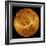 Global View of the Surface of Venus-Stocktrek Images-Framed Photographic Print