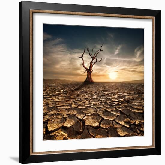 Global Warming Concept. Lonely Dead Tree under Dramatic Evening Sunset Sky at Drought Cracked Deser-Perfect Lazybones-Framed Photographic Print