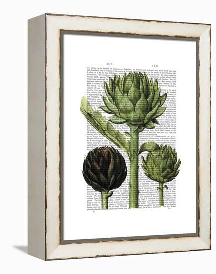 Globe Artichoke Print 1-Fab Funky-Framed Stretched Canvas