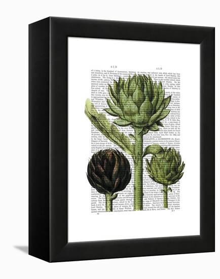 Globe Artichoke Print 1-Fab Funky-Framed Stretched Canvas