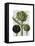 Globe Artichoke Print 1-Fab Funky-Framed Stretched Canvas