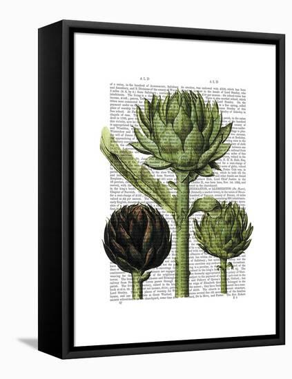 Globe Artichoke Print 1-Fab Funky-Framed Stretched Canvas