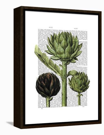 Globe Artichoke Print 1-Fab Funky-Framed Stretched Canvas