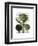 Globe Artichoke Print 1-Fab Funky-Framed Art Print