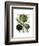 Globe Artichoke Print 1-Fab Funky-Framed Art Print