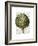 Globe Artichoke Print 2-Fab Funky-Framed Premium Giclee Print